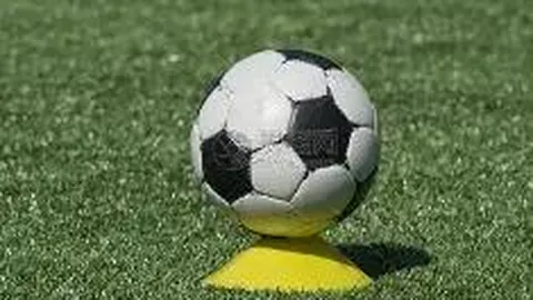 【彩民福音】2025139期双色球神算子精选12红球+2蓝球，支持有你更精彩！