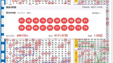 大乐透26071期专家推荐质合分析前区十码